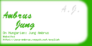 ambrus jung business card
